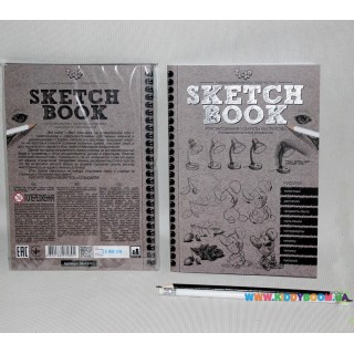 Набор SKETCH BOOK Курсы рисования с карандашами Danko toys SB-01-01